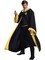 Adult&#x27;s Men&#x27;s Women&#x27;s Harry Potter Hufflepuff Student Costume